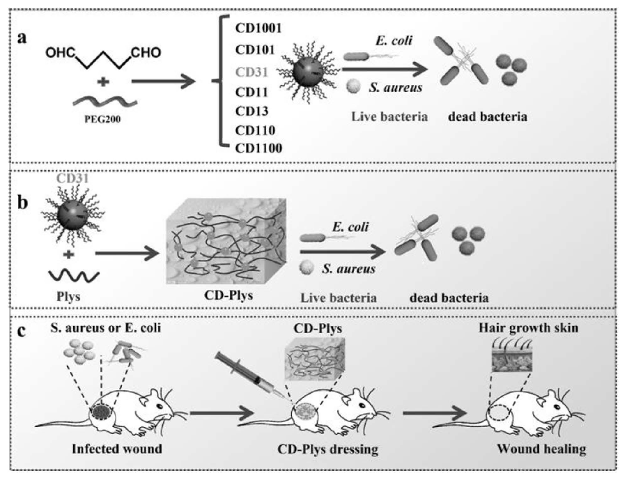 碳纳米点、可注射碳纳米点-ε-聚赖氨酸水凝胶及其制备方法与应用
