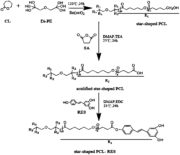 一种星型聚己内酯-白藜芦醇聚合物的制备方法