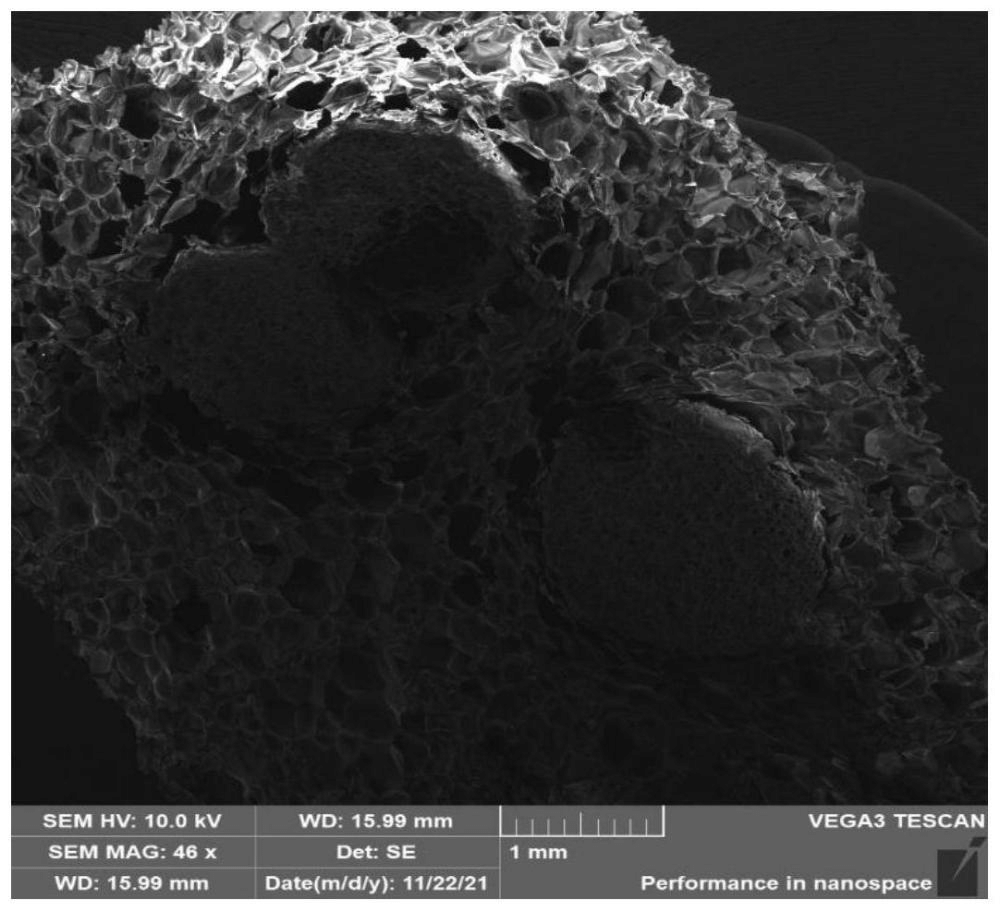 一种改性可发性聚苯乙烯颗粒、制备方法及其应用