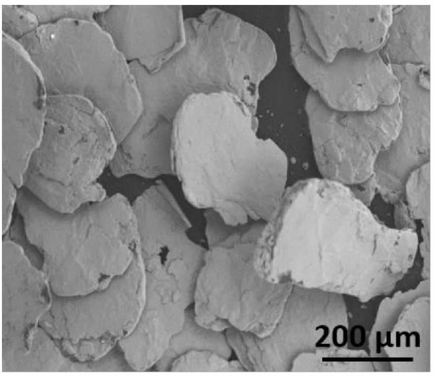 夹金属层鳞片石墨及其制备方法和应用