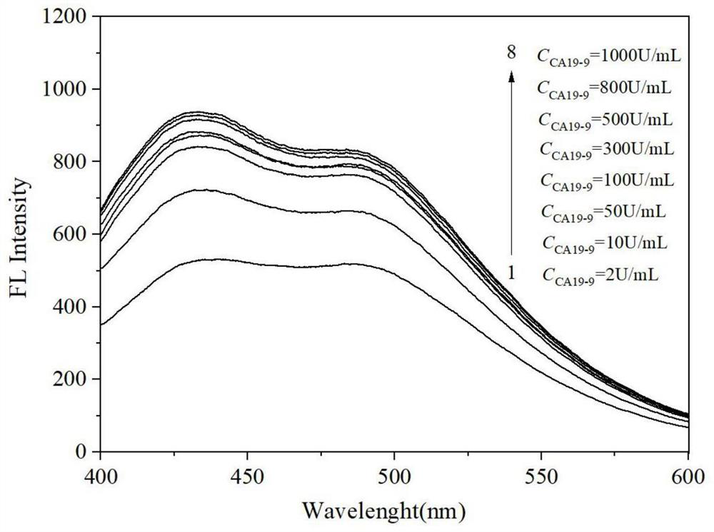 磁分离荧光增强型适配体传感器检测肿瘤标志物CA19-9的方法