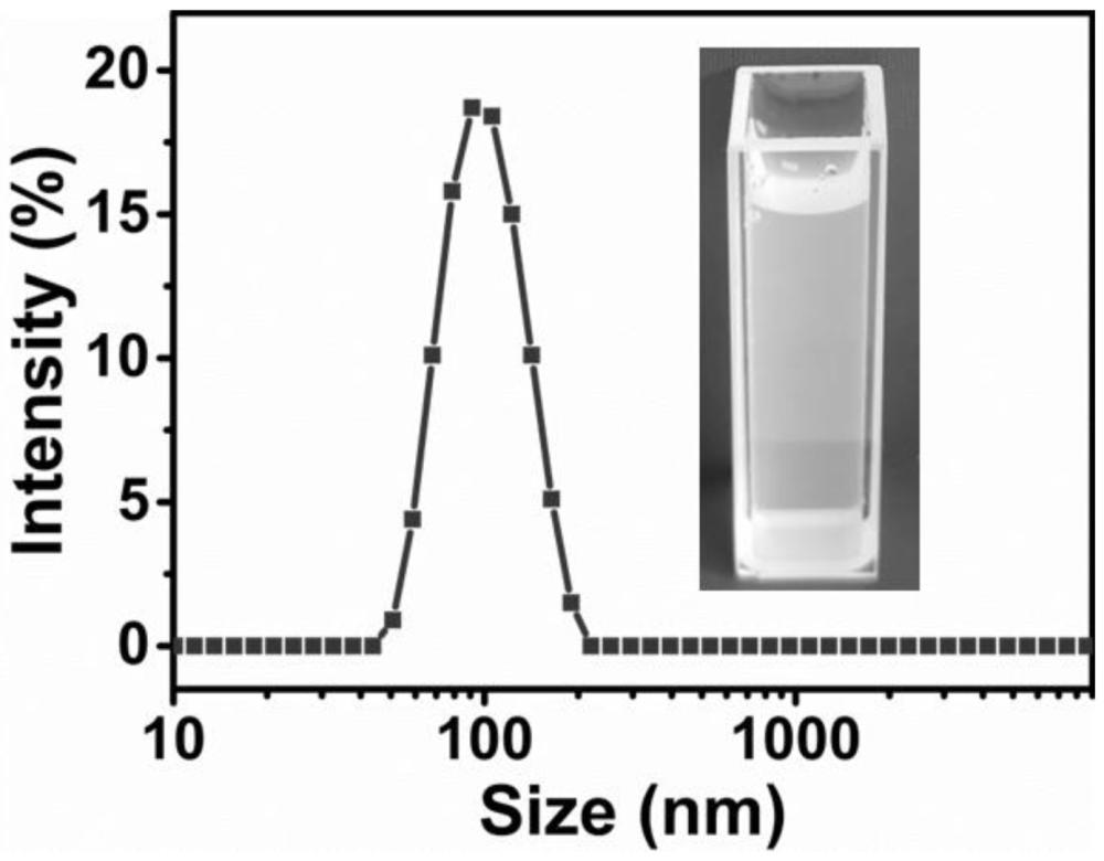 一种棉酚-双氢青蒿素自组装纳米粒的制备方法及应用