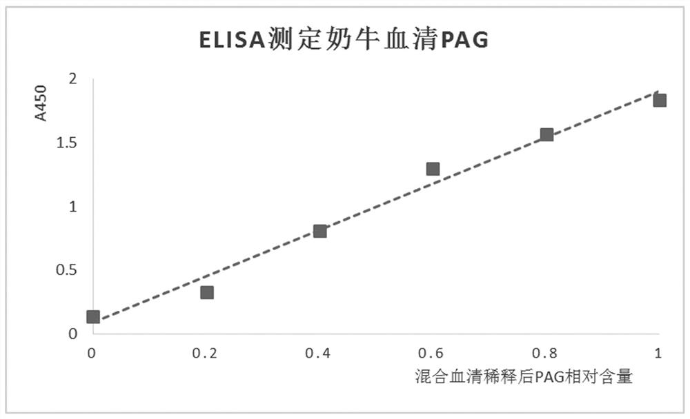 产生牛妊娠相关糖蛋白特异性单克隆抗体的小鼠杂交瘤细胞株、单克隆抗体、试剂盒及检测