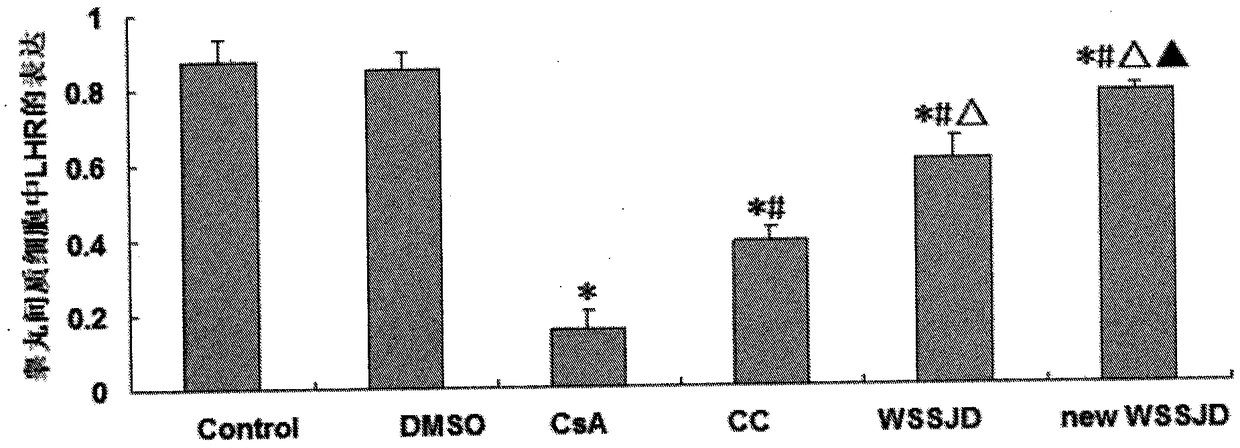 一种新温肾生精饮及其制备方法