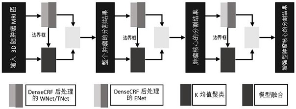 一种全连接CRF级联FCN和K均值脑肿瘤分割算法
