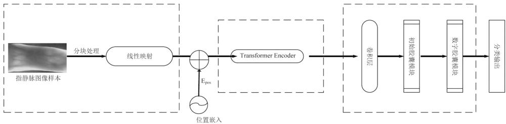 指静脉识别模型训练方法及识别方法、系统和终端