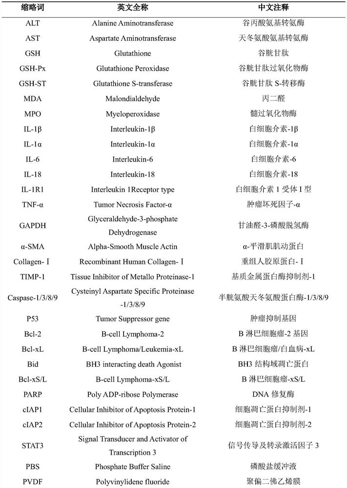一种寒葱饮料及其制备方法与应用