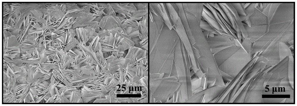一种二维镍钴双金属MOFs纳米片及其在葡萄糖检测中应用