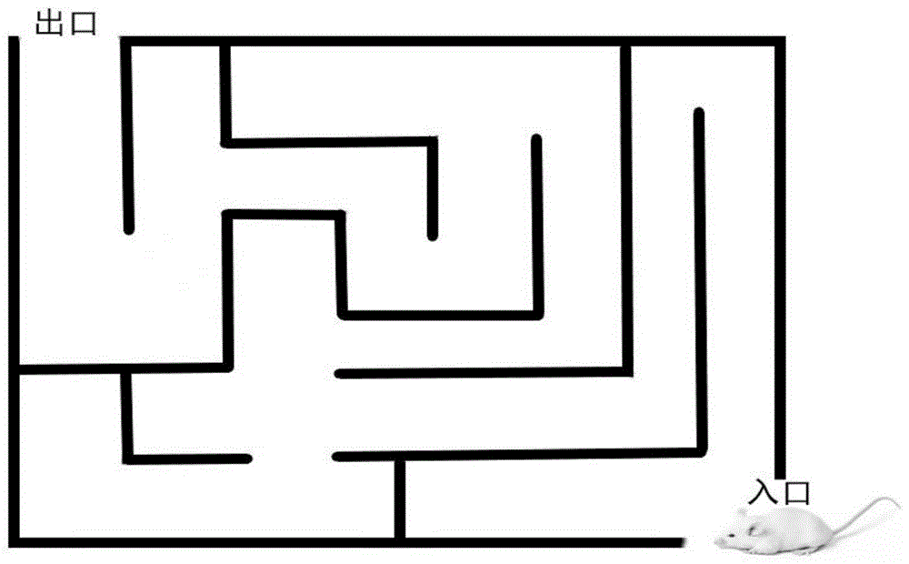 一种黑色食品发酵型复合小分子肽、口服液及制备方法和应用