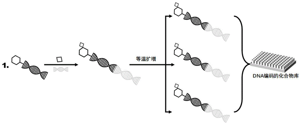 一种DNA编码化合物库药物分子垂钓方法