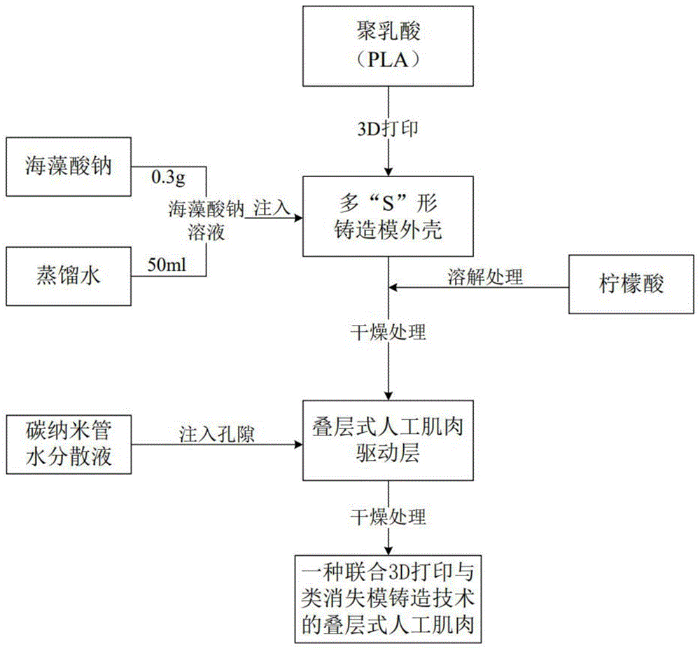 联合3D打印与类消失模铸造的叠层式人工肌肉构建工艺