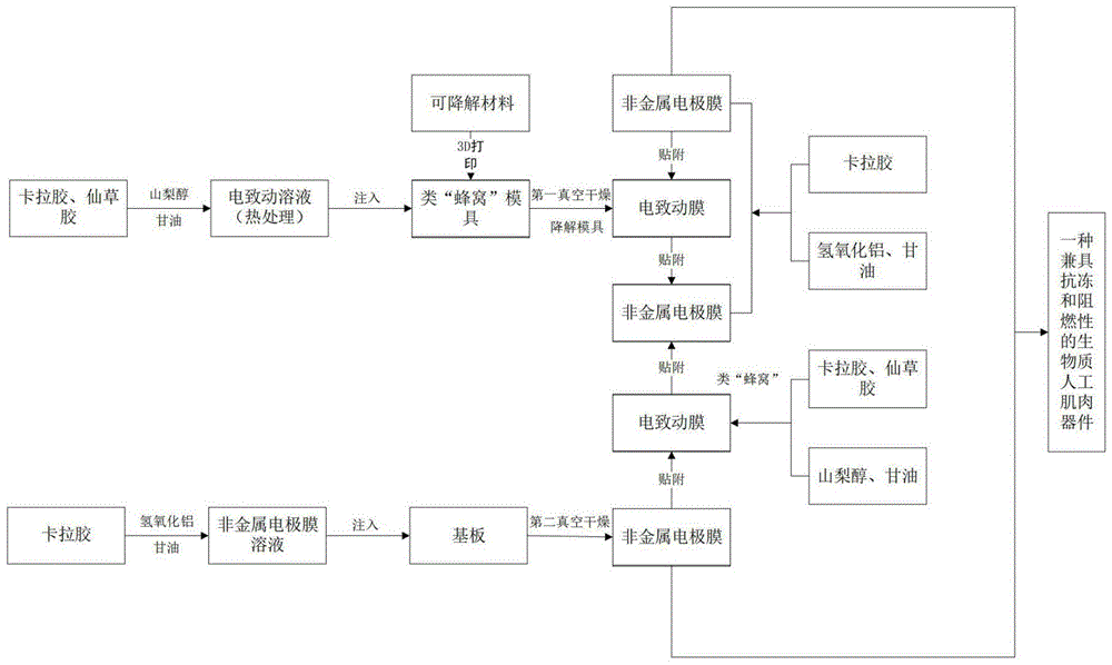一种生物聚合物人工肌肉及其制备方法和应用