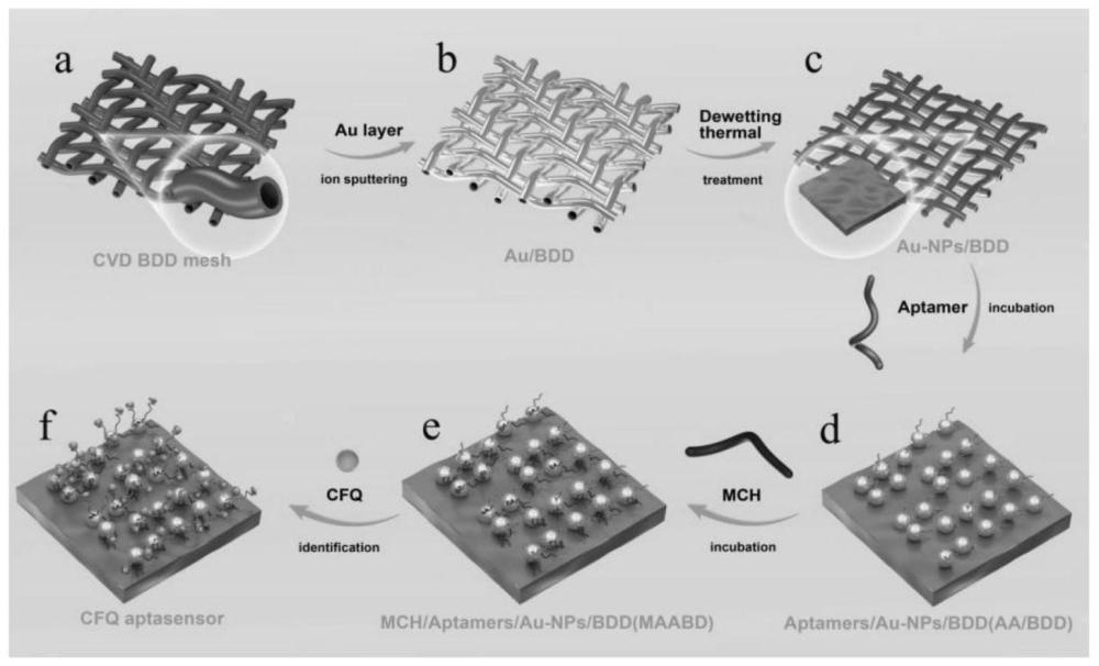 一种用于检测头孢喹诺的适配体传感器的制备方法