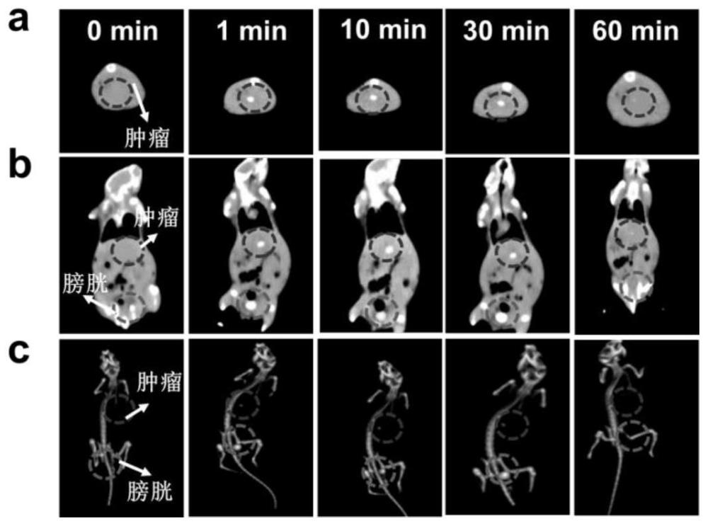 铪掺杂荧光碳点及其制备方法与应用