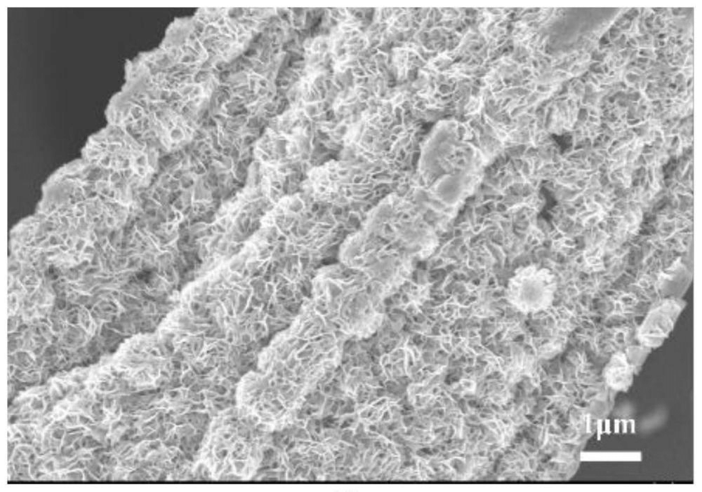 一种兼具优异机械性能的碳纤维基太阳能光热高效转化材料及其制备方法和应用