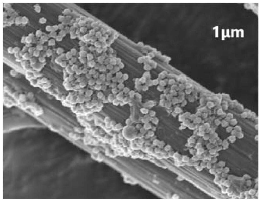 一种氧化石墨烯/聚苯胺中空微球刚柔结构改性碳纤维、制备方法及其复合材料