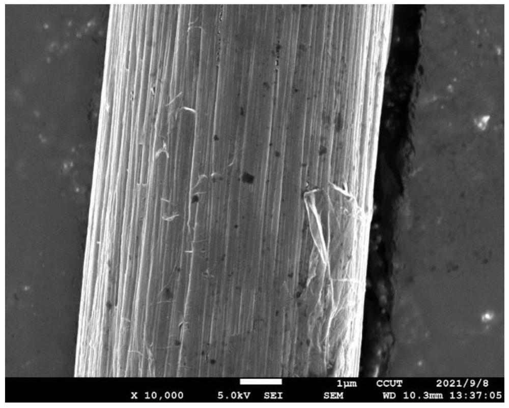 一种改性碳纤维及其制备方法和应用以及改性碳纤维环氧树脂复合材料