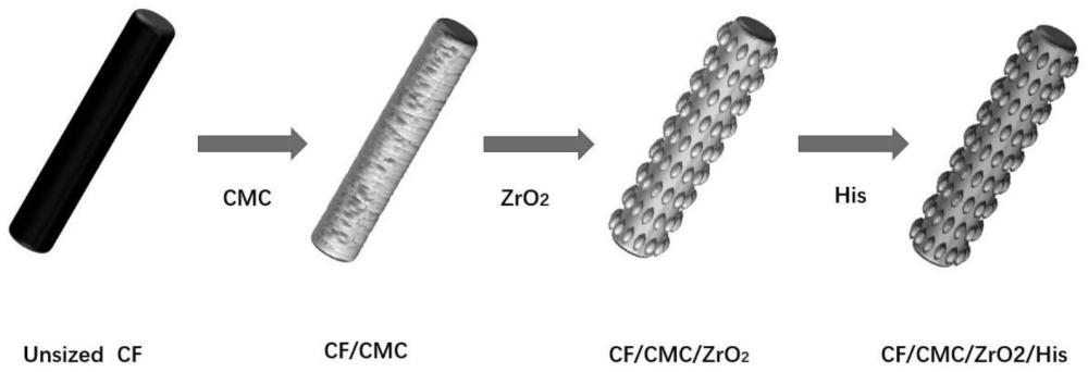 一种三明治结构的碳纤维及其制备方法和应用
