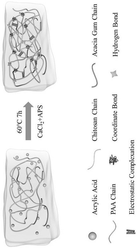 一种高形状回复率水凝胶及其制备方法
