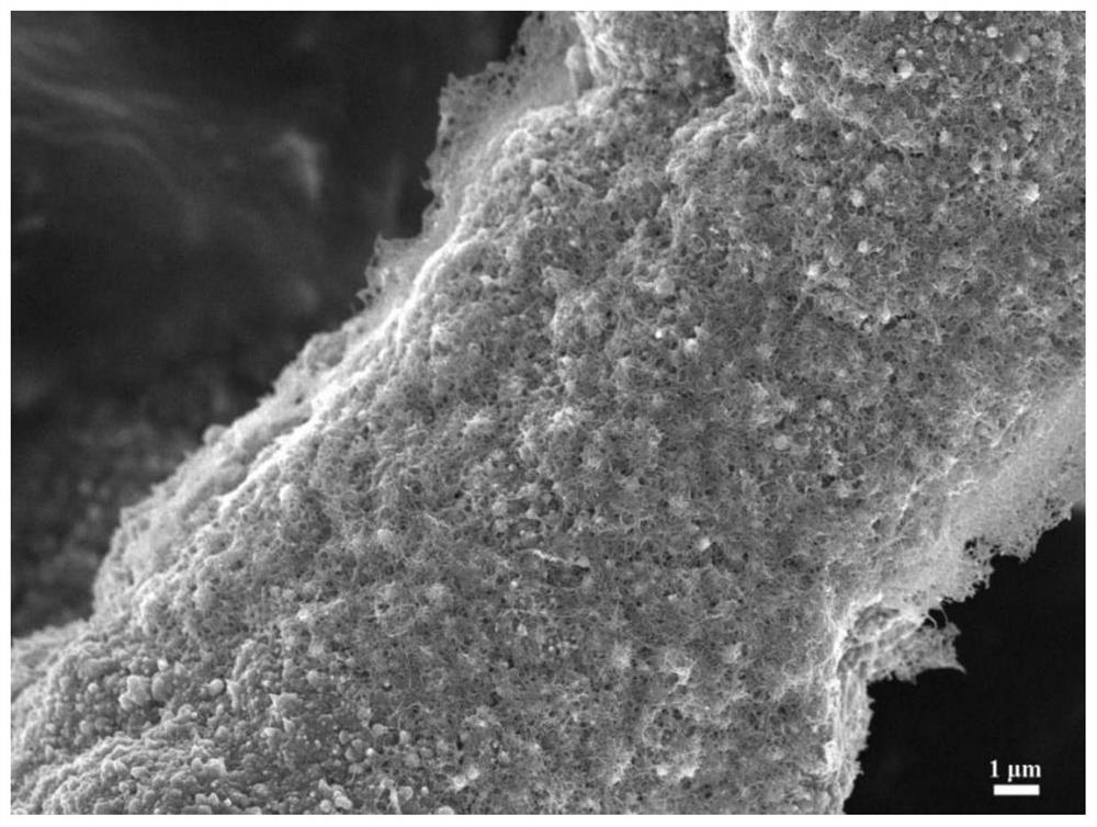 一种金属铜/纳米碳多尺度增强体修饰的碳纤维复合材料及其制备方法