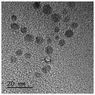 一种正电性的基因载体功能的聚合物荧光碳量子点的制备方法及应用