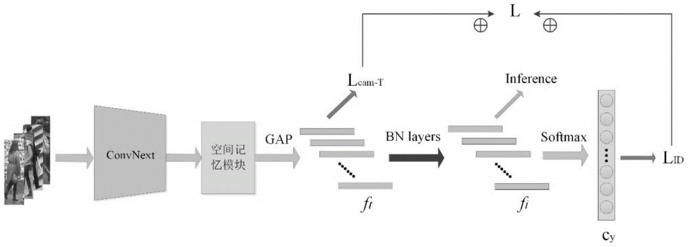 一种基于单尺度特征表达的遮挡行人重识别方法