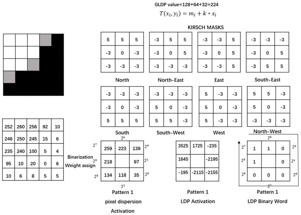 一种高效的手指静脉图像特征提取方法和系统
