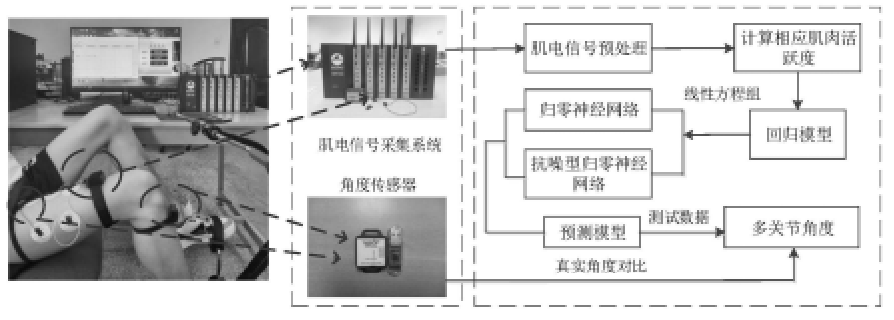 一种基于表面肌电信号的下肢多关节角度估计方法