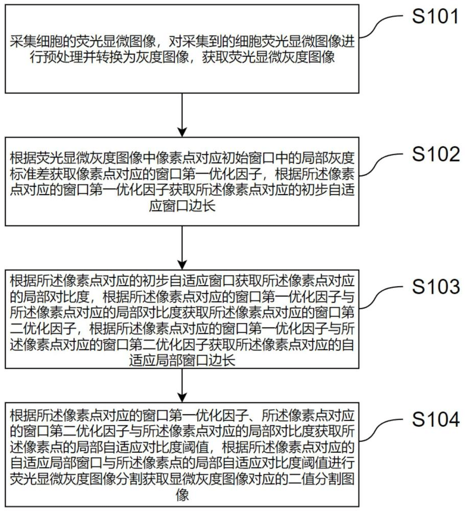 一种基于噪声分析的荧光探针检测图像处理方法