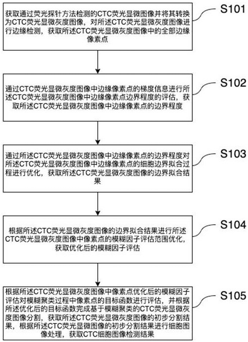 基于荧光探针检测的CTC图像优化检测方法