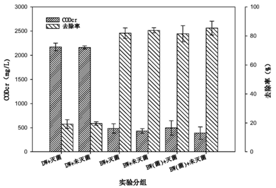 一种生物活性水及其制备方法