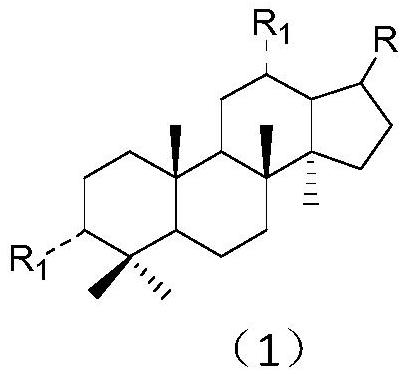 达玛烷皂苷元衍生物和制备方法及应用