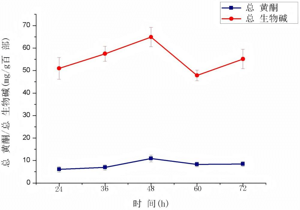 一种治疗H1N1病毒感染的百部发酵物及其制备方法和应用
