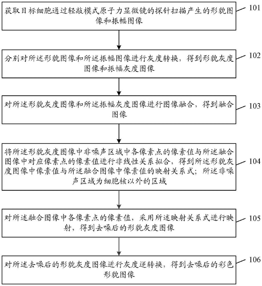 一种细胞形貌图降噪方法、装置、设备、介质及产品