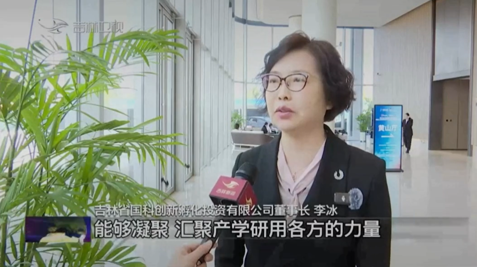 【媒体关注】联盟秘书长接受吉林电视台采访：凝聚各方力量 支持光电行业发展